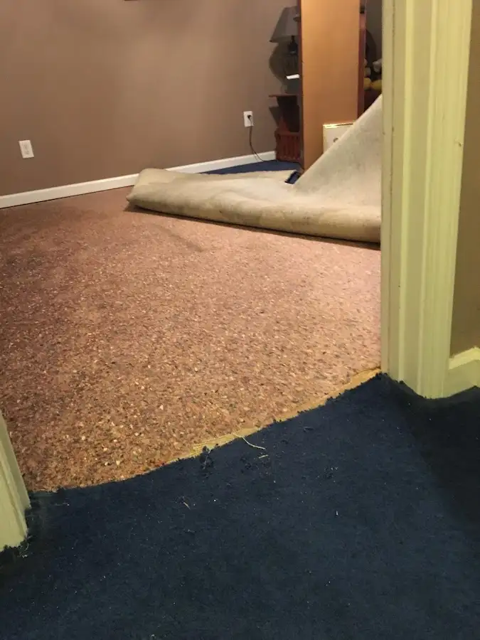 Carpet pad removal revealing water damage during Water Mitigation Services in Marion