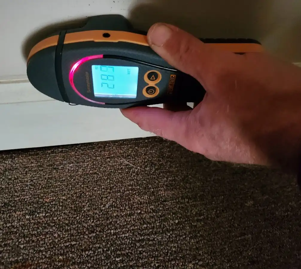 Moisture detection at baseboard during Sewage Cleanup & Sanitation in Marion